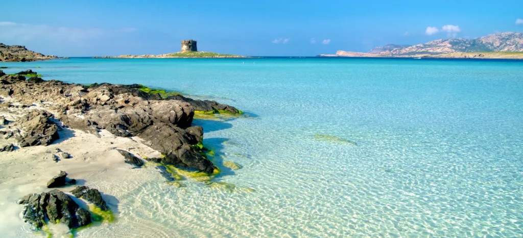 A ground-level view of the transparent and shallow turquoise waters at La Pelosa beach in Stintino. The iconic Aragonese tower stands on its islet in the background, with the hills of Asinara island visible under a bright blue sky.